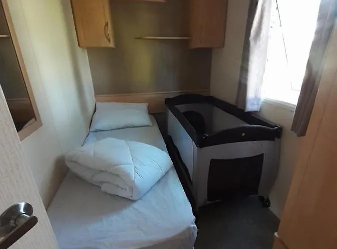 Herbes De Pampa Maringues