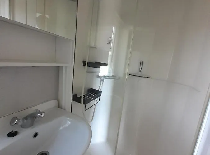 Herbes De Pampa Maringues